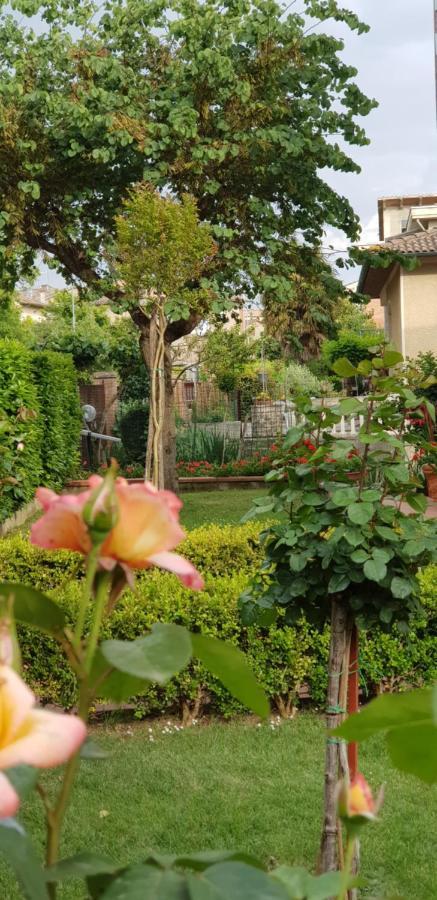 몬티시아노 La Casa Di Gigliola 빌라 외부 사진
