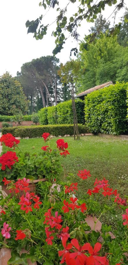 몬티시아노 La Casa Di Gigliola 빌라 외부 사진