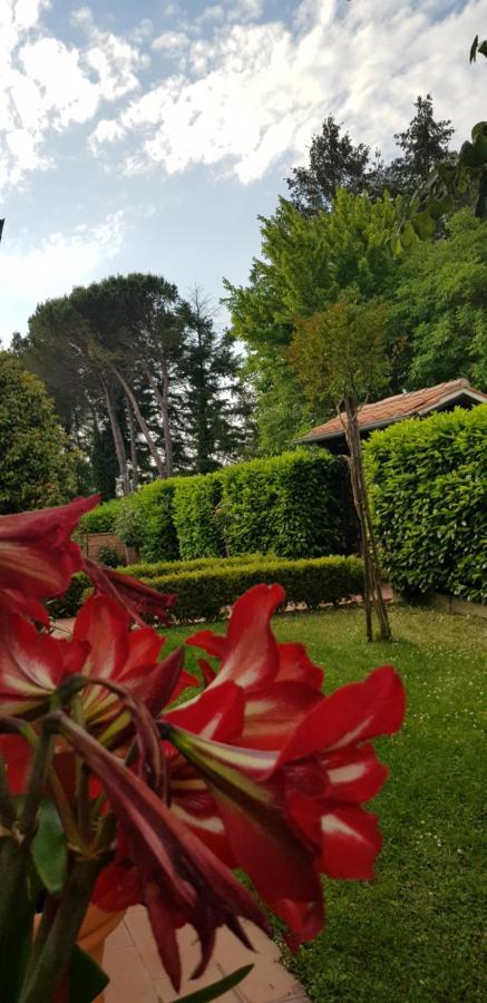 몬티시아노 La Casa Di Gigliola 빌라 외부 사진