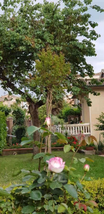 몬티시아노 La Casa Di Gigliola 빌라 외부 사진