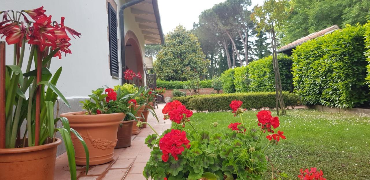 몬티시아노 La Casa Di Gigliola 빌라 외부 사진