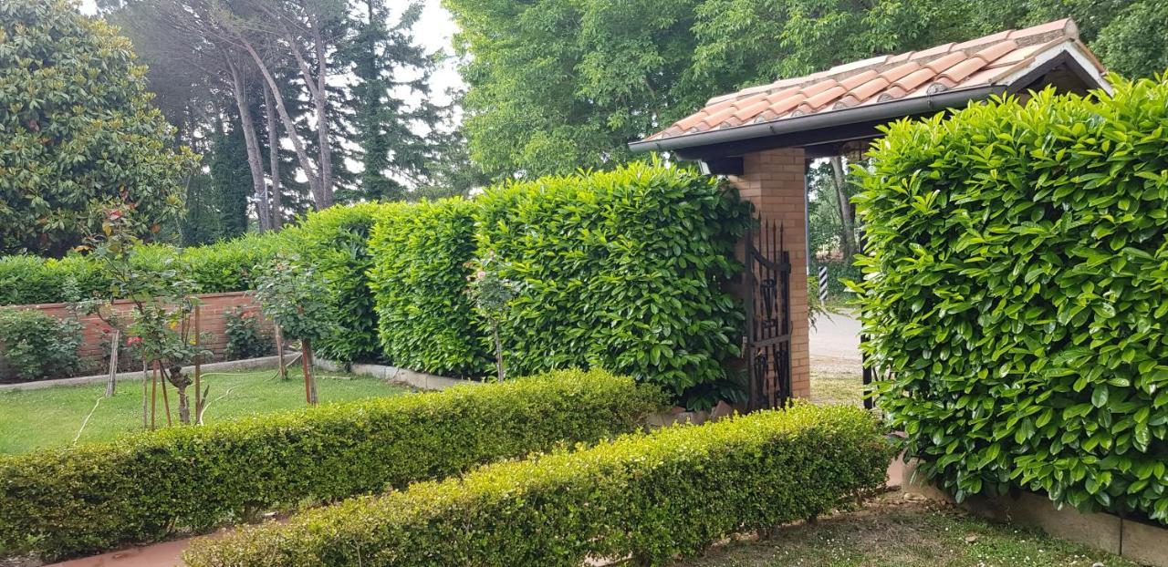 몬티시아노 La Casa Di Gigliola 빌라 외부 사진